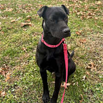 Thumbnail photo of Marabell #4