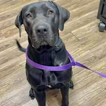 Thumbnail photo of Elle Perdi #1