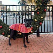 Thumbnail photo of Elle Perdi #4