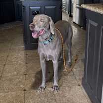 Thumbnail photo of Booray #1