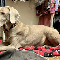 Thumbnail photo of Booray #2