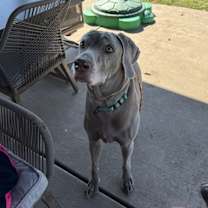 Thumbnail photo of Booray #3