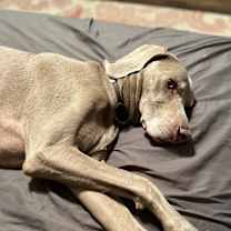 Thumbnail photo of Booray #4