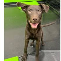 Thumbnail photo of Eddie #1