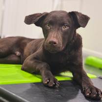 Thumbnail photo of Eddie #2