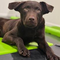 Thumbnail photo of Eddie #3