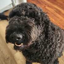 Thumbnail photo of Ashley #1