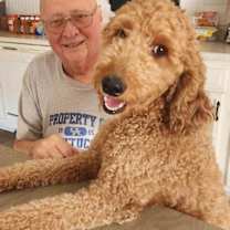 Thumbnail photo of Ashley #2