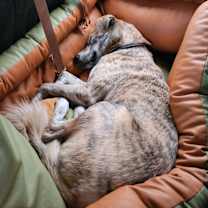 Thumbnail photo of Ma-eum #4