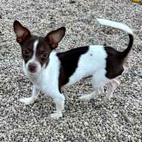 Thumbnail photo of Bradley Jr #3