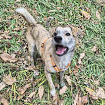 Thumbnail photo of Ma-eum #2