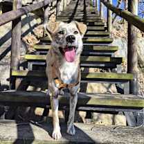 Thumbnail photo of Ma-eum #1