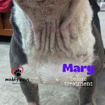 Thumbnail photo of Mary Magdalene #4