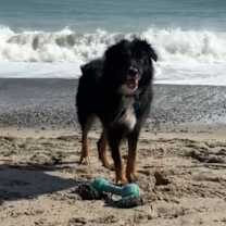 Thumbnail photo of Sonnet #2