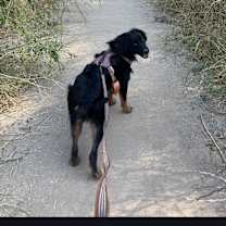 Thumbnail photo of Sonnet #3