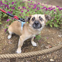 Thumbnail photo of Jjajang(J) #3