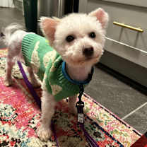 Thumbnail photo of Showers #1