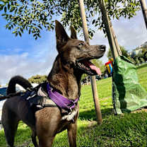 Thumbnail photo of Holly #1