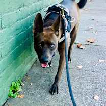 Thumbnail photo of Holly #3