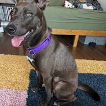 Thumbnail photo of Holly #4