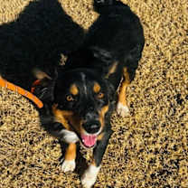 Thumbnail photo of Hilary Duff - ADOPTION IN PROCESS #2