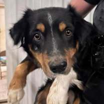 Thumbnail photo of Hilary Duff - ADOPTION IN PROCESS #3