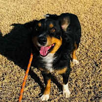 Thumbnail photo of Hilary Duff - ADOPTION IN PROCESS #4