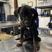 Thumbnail photo of Frida #1