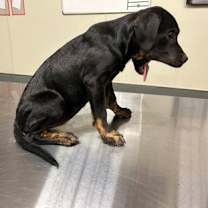 Thumbnail photo of Frida #3