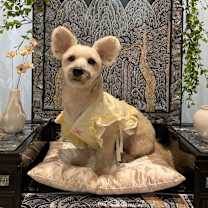 Thumbnail photo of Ongal(J) #2