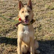 Thumbnail photo of SPONSOR ME - Fiesta #2