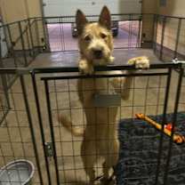 Thumbnail photo of SPONSOR ME - Fiesta #3