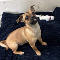 Thumbnail photo of 59915638 #1