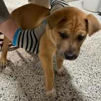 Thumbnail photo of Buddy #1