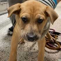 Thumbnail photo of Buddy #2