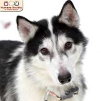 Thumbnail photo of Zoey #1