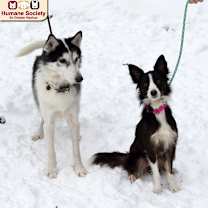 Thumbnail photo of Zoey #2