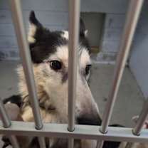 Thumbnail photo of Zoey #3