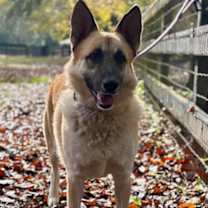 Thumbnail photo of Mona #1