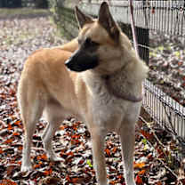 Thumbnail photo of Mona #3