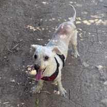 Thumbnail photo of Max #1