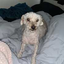 Thumbnail photo of Max #2