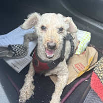 Thumbnail photo of Max #3