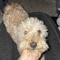 Thumbnail photo of Max #4