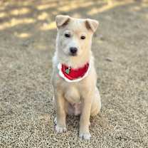 Thumbnail photo of Londonboy #1