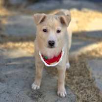 Thumbnail photo of Londonboy #2