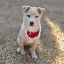 Thumbnail photo of Londonboy #3