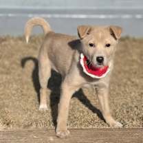 Thumbnail photo of Londonboy #4