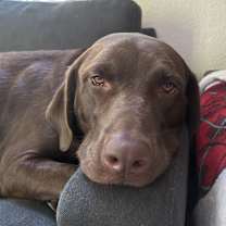 Thumbnail photo of nida #2