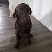 Thumbnail photo of nida #4